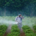 Fake-Pesticides-