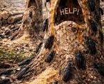 images (1)